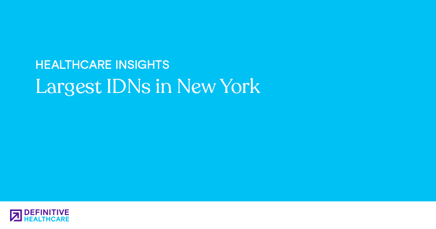 largest-idns-in-new-york
